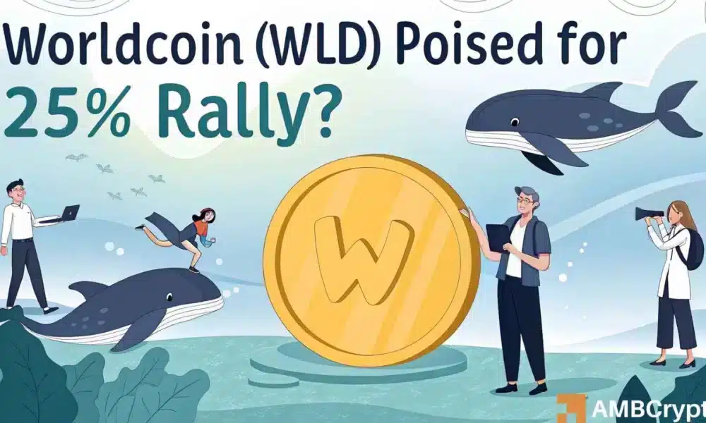 随着机构和鲸鱼的兴趣急剧增强，WorldCoin [WLD]似乎是为了强烈的上行移动